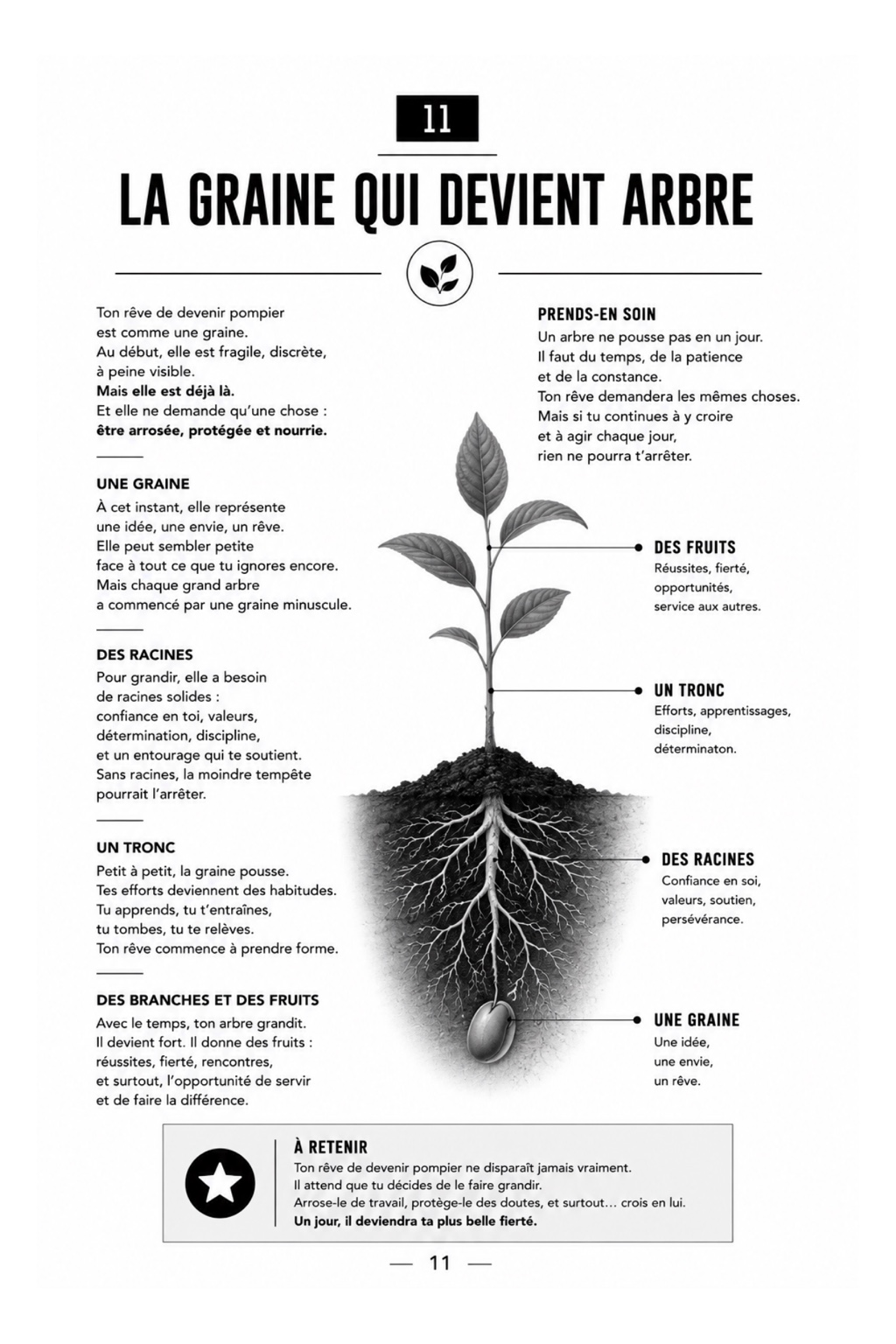 La graine qui devient arbre
